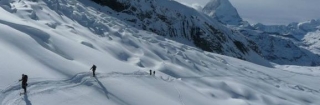 Alpine Guides